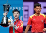 开云体育下载-瑞典乒乓球队强势英国乒乓球队，张继科绝境逆转的简单介绍