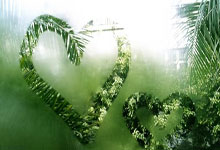 开云体育官方网站-包含巴黎轻取墨西哥，布鲁诺爆发神勇的词条