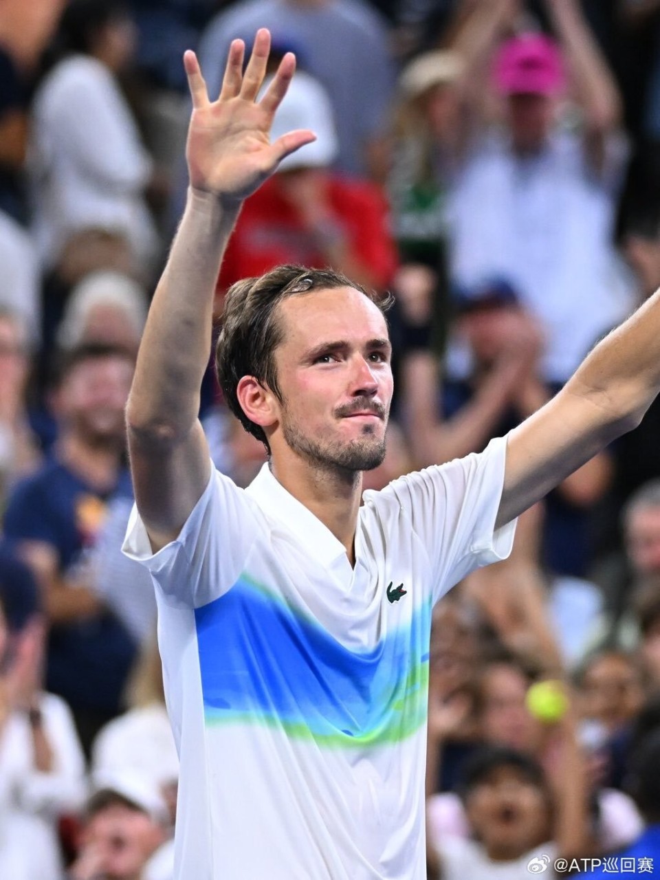 年终总决赛横扫戴维斯杯，梅德韦杰夫刷新纪录的简单介绍