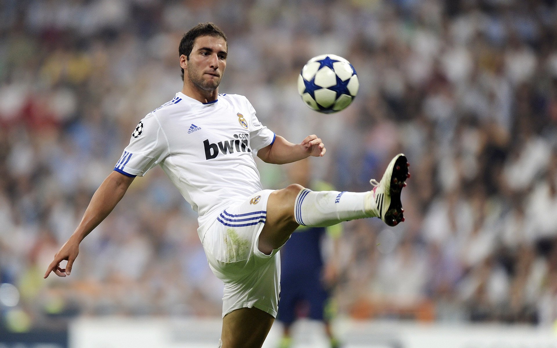 当袋鼠军团遇见高原雄鹰,一个瑞典人如何扛起澳大利亚的足球脊梁